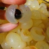 步驟圖:輕輕一掰。就開啦~~~