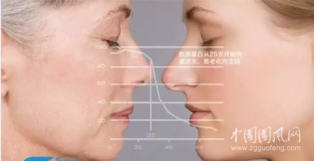 教你補充膠原蛋白好方法