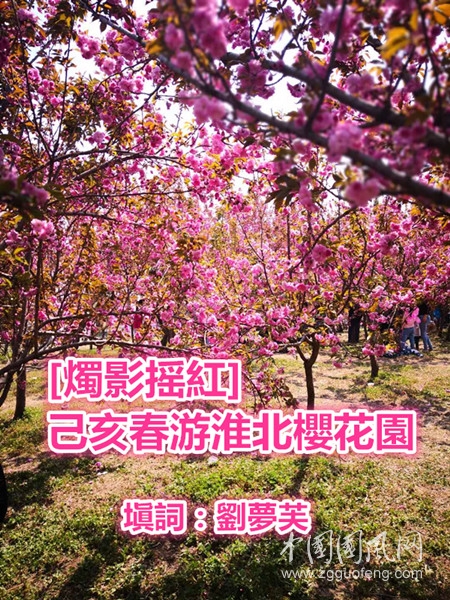 bf640cfa9540e3147a9c2a7cf3ddac5.jpg