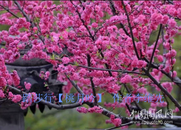 微信圖片_20200411143950_副本.png