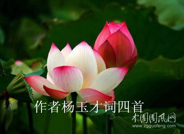QQ圖片20200912144254_副本.jpg