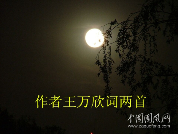 QQ圖片20200912152249_副本.jpg