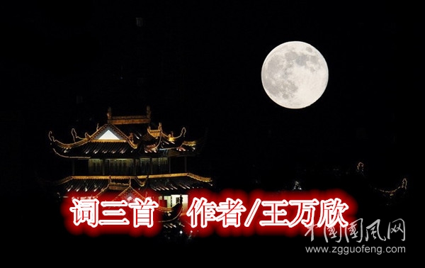 微信圖片_20200916155019_副本.jpg