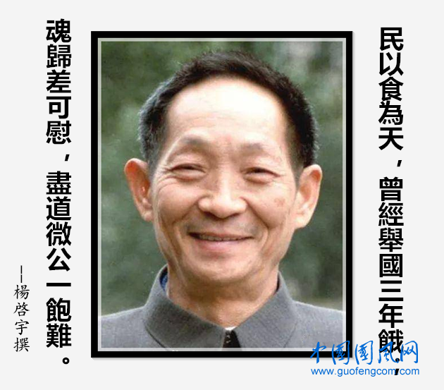 楊啟宇.png