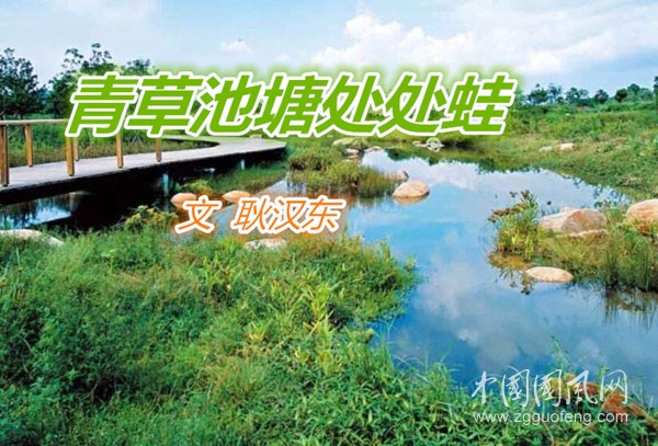  青草池塘處處蛙（文 耿漢東）