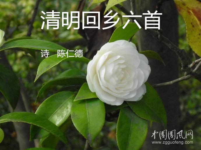 清明.jpg