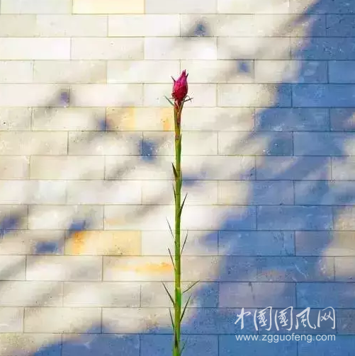 QQ截圖20180413200408.png