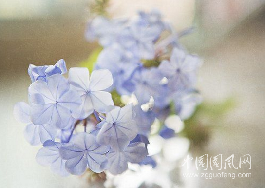 QQ截圖20180324162611.png