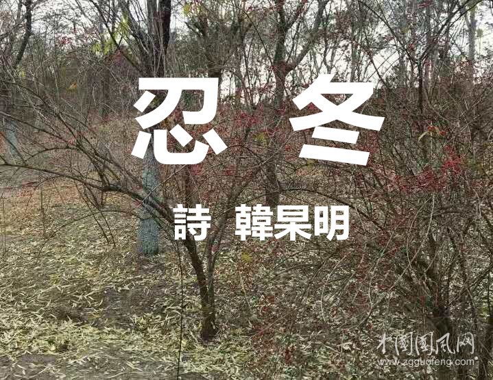 圖片1.png