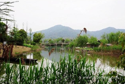 鵝鼻采藥.jpg