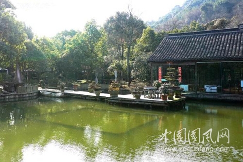 九島風(fēng)情.jpg