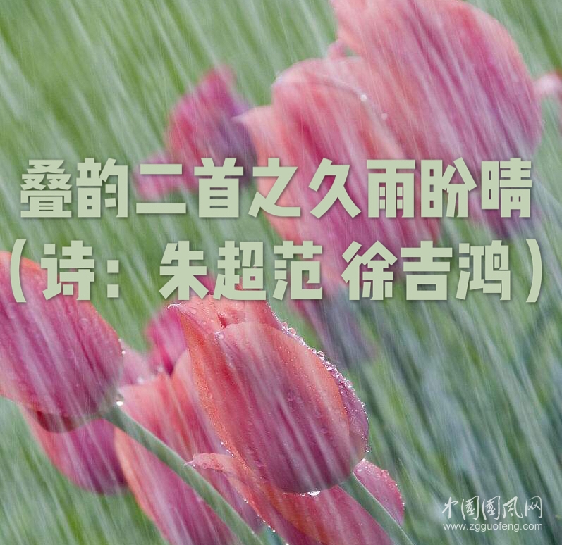 微信圖片_20190225164053.jpg