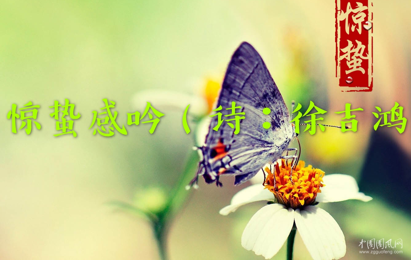 微信圖片_20190303171034.jpg