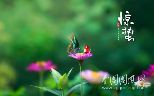 驚蟄.jpg