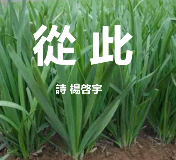 A2F1B495A65476FB7D9EB9FE485C2B18.jpg