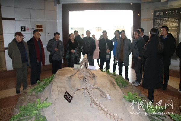 IMG_8004.CR2.jpg