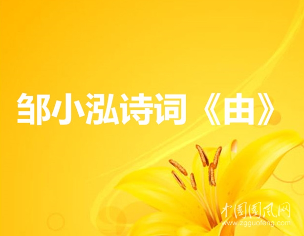 timg_副本.jpg