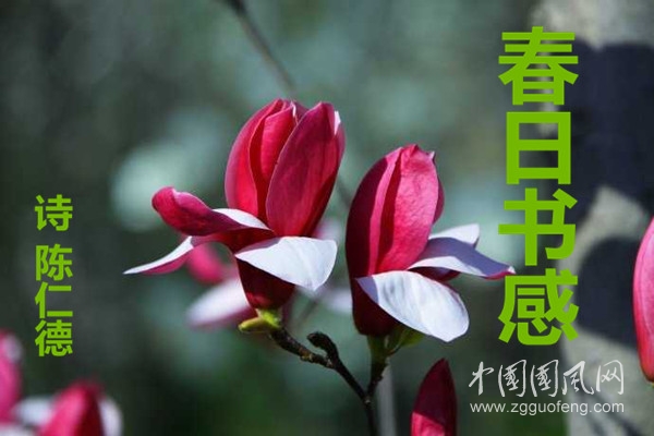 u=2389477982,4003615762&fm=214&gp=0_副本.jpg