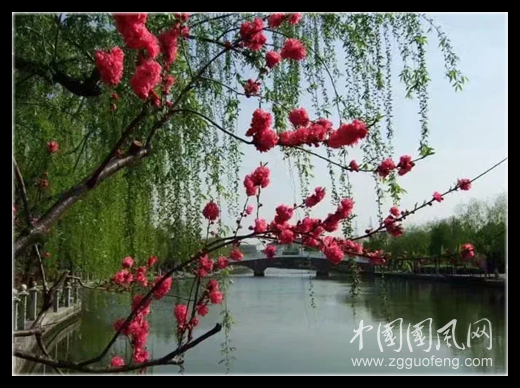 QQ圖片20200225191932_副本.png