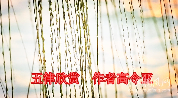 微信圖片_20200312135022_副本_副本.jpg