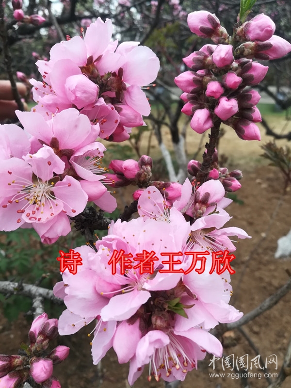 微信圖片_20200317134045_副本.jpg