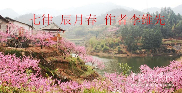微信圖片_20200331203837_副本.jpg