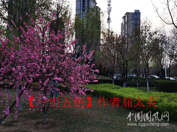 微信圖片_20200414135626_副本.jpg