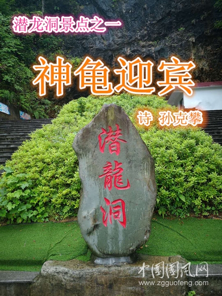 神龜迎賓刊頭.jpg