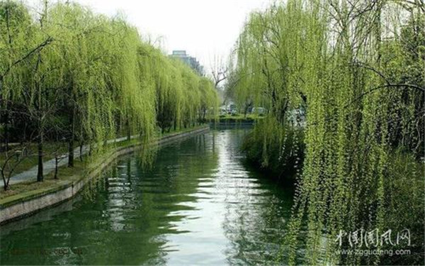 下載 (1).jpg