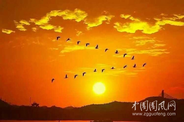 QQ圖片20200912132443_副本.jpg