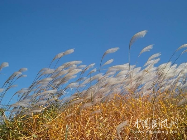 QQ圖片20200912132457_副本.jpg