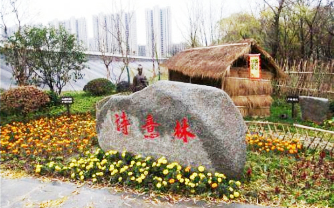 微信圖片_20201110201518.jpg