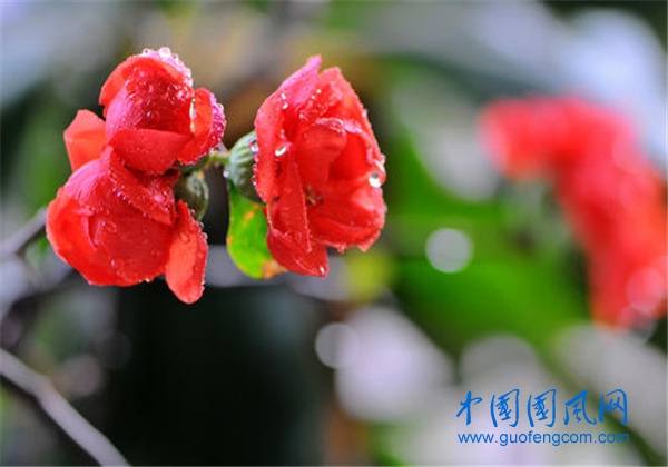u=3170212670,2798175324&fm=26&gp=0.jpg