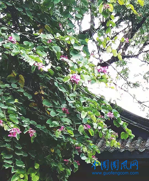 圖片1_副本.png