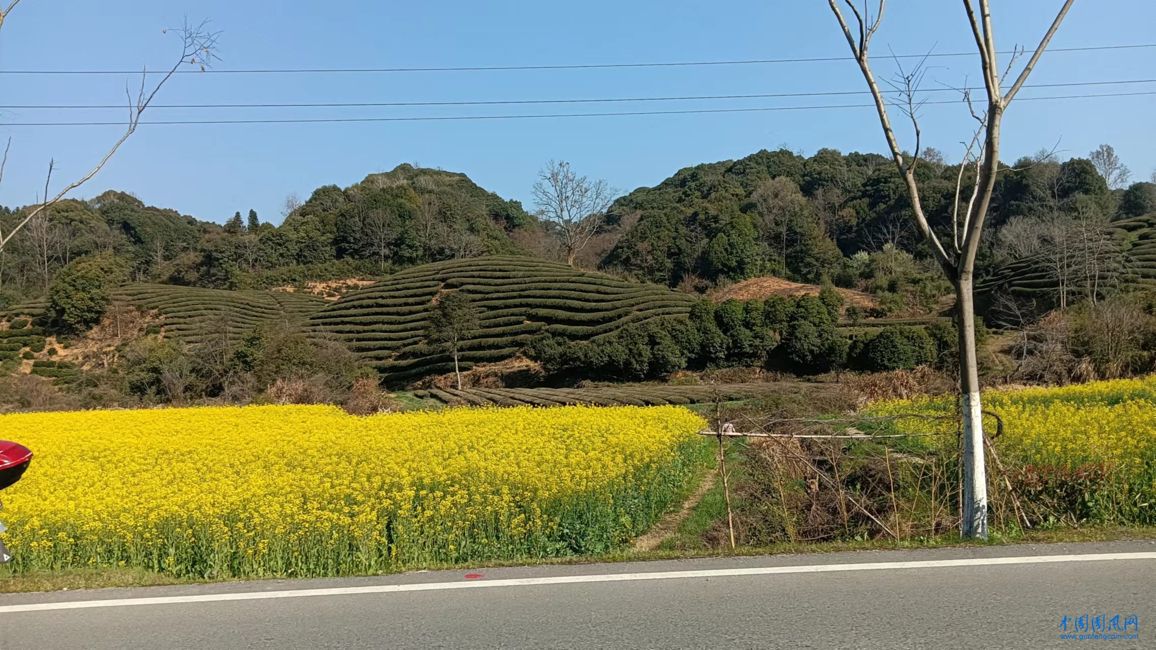 微信圖片_20230312232157.jpg