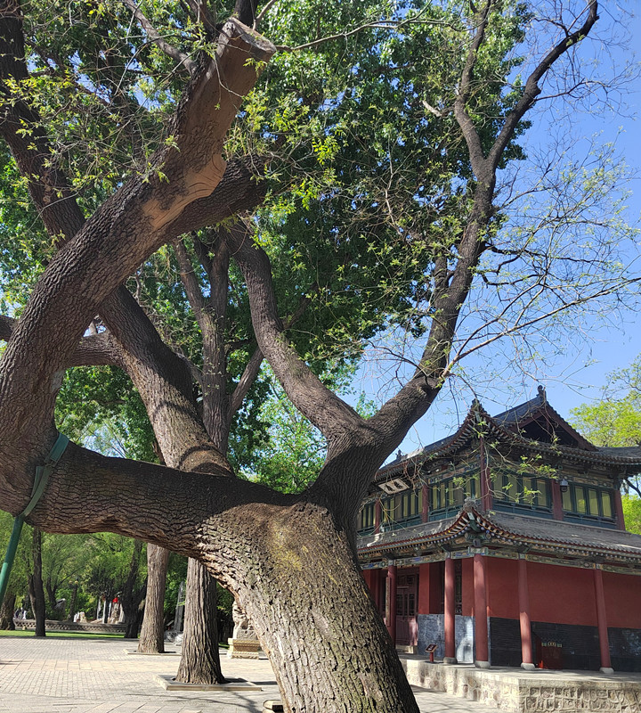 微信圖片_20240527153952.jpg
