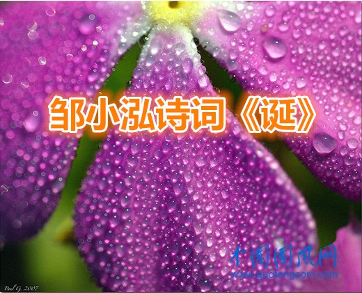 6923860_27_副本.jpg