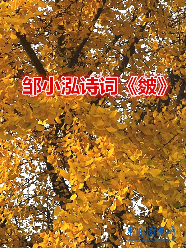 3def89a5c054d3d982ff4e129e8ea3e4_副本.jpg