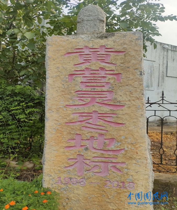 946675252.jpg