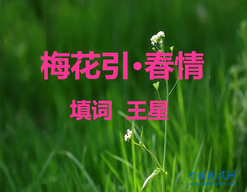 chun4.webp_副本.jpg