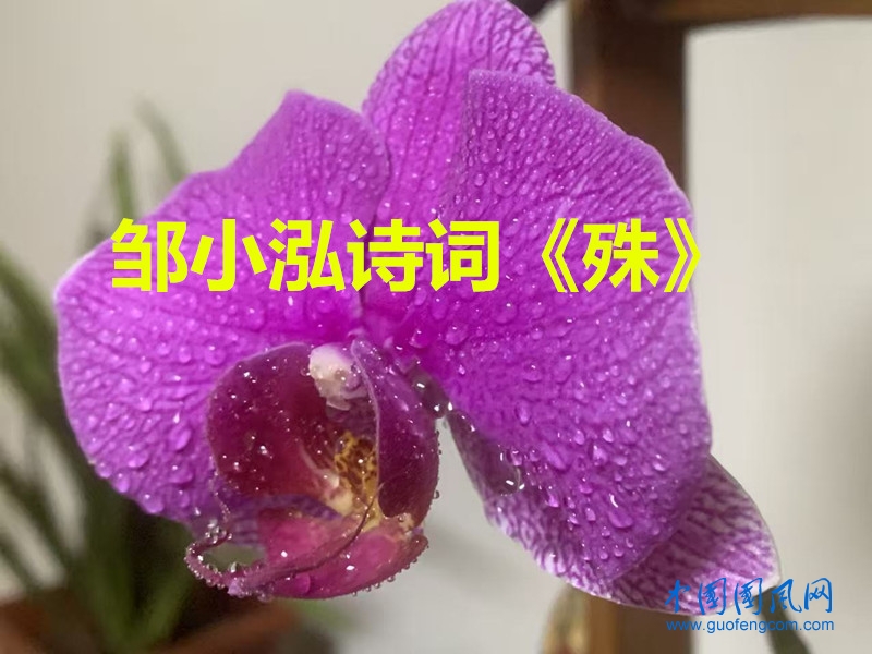 983086a126a2576cf2c1ac25cf0af0f5_副本.jpg