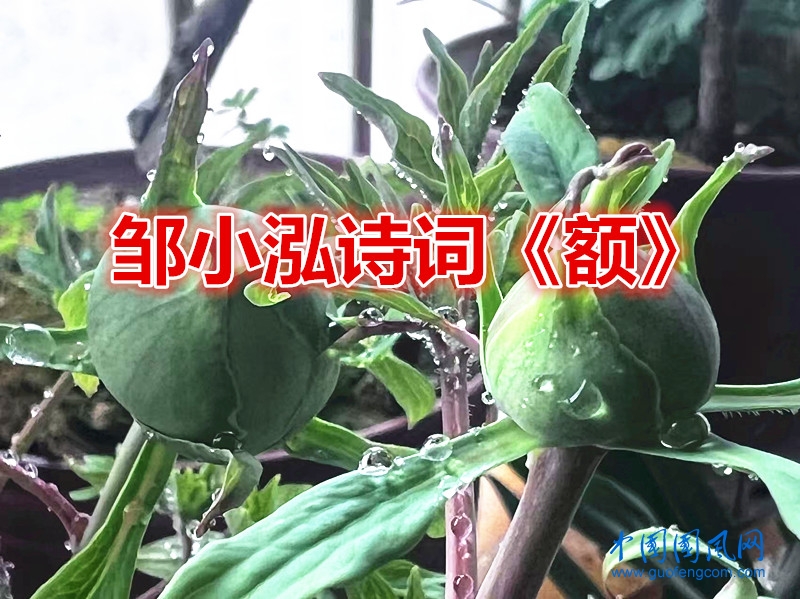 ae1dd160c150ed77df1f9ef8932c9199_副本.jpg