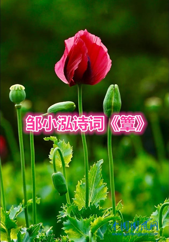 956918e0f5442c77b3167e616e64dafa_副本.jpg