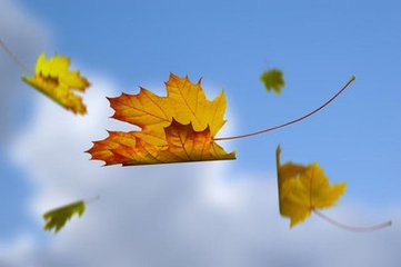 《求真務(wù) 實(shí) 拓 通 途》                                                   ——為金石《紀(jì)錄片寫作研究》序