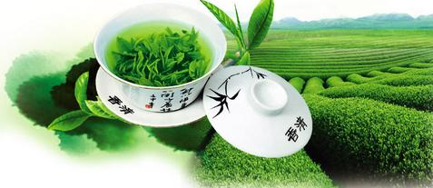 說綠茶