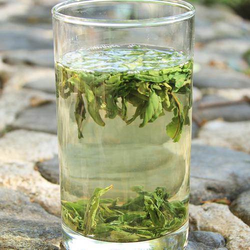 多喝綠茶有防癌作用
