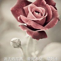 逝去的東西，最好不見，最好不念