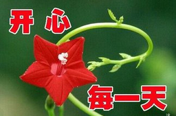 五十抒懷