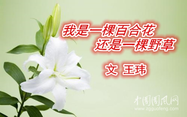 我是一棵百合花還是一棵野草（文 王瑋）