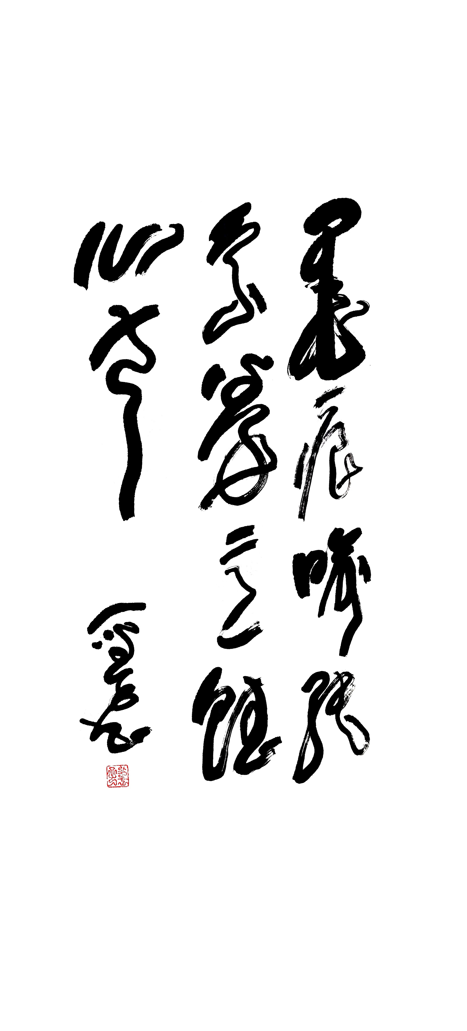 MEITU_20241211_183928145_edit_184486994359348.jpg